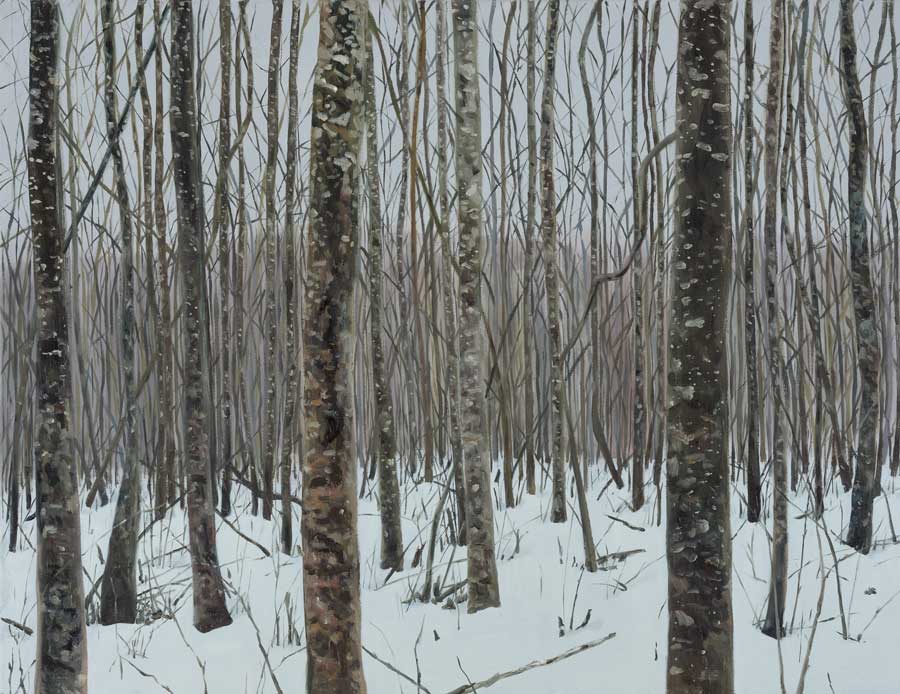Jane Remm "Eesti mets. Jaanuar/Estonian Forest. January"