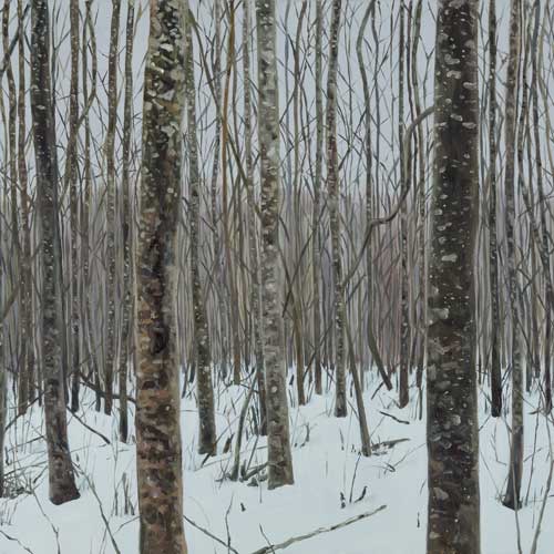 Eesti mets. Jaanuar/Estonian Forest. January