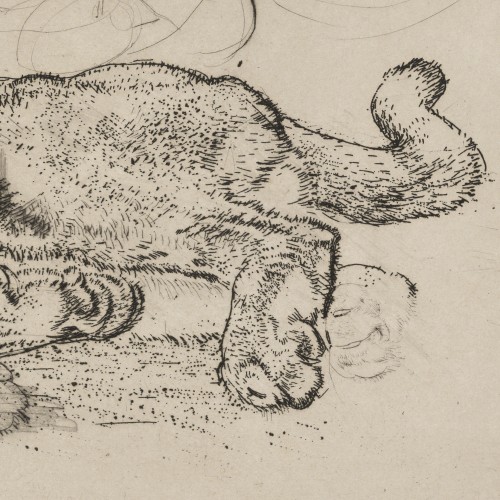 Puma and Panther (17418.5136)