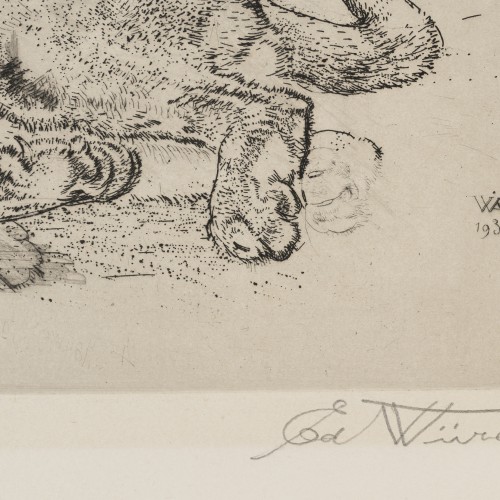 Puma and Panther (17418.5137)