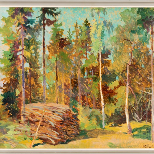 Forest View Near Rapla (17931.7554)