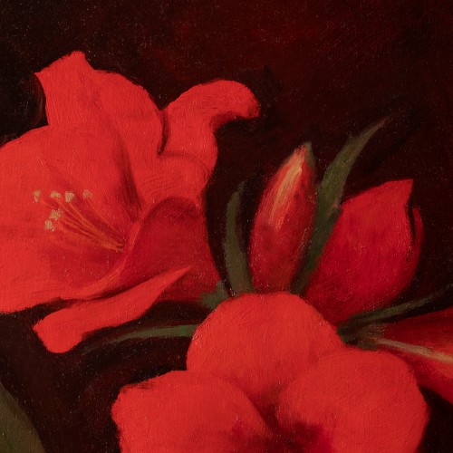Punane amarüllis (18077.8630)