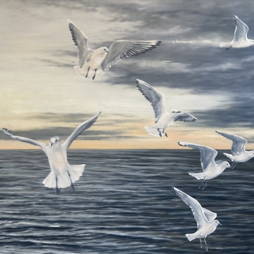 Seagulls At Sea