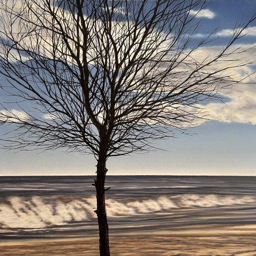 Tree, Clouds and a Wave