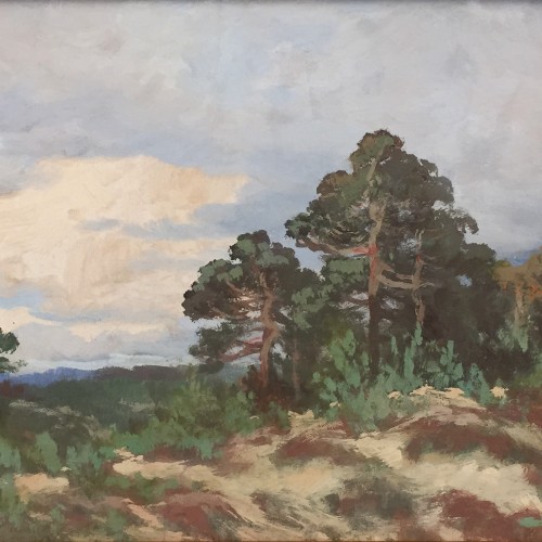 Pines On a Hill (18326.9053)