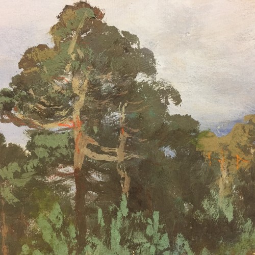 Pines On a Hill (18326.9056)