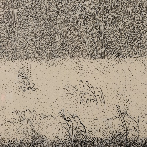 Field (18585.9717)
