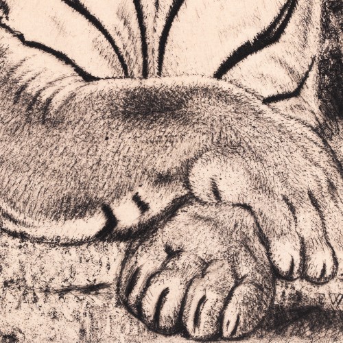 Tiiger kassiga (18603.10959)