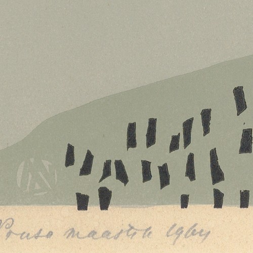 The Landscape of Piusa (18658.9986)