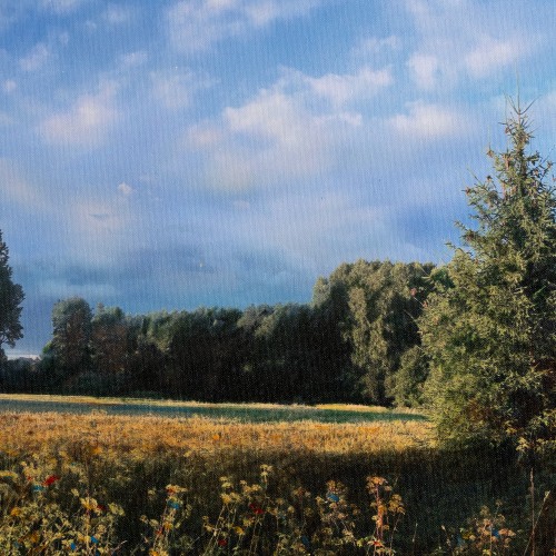 Landscape XII (18974.11643)