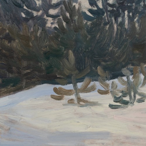 Winter Forest (19098.12814)