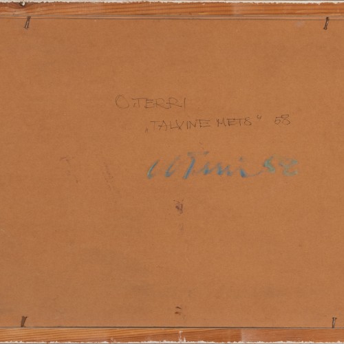 Talvine mets (19098.12816)