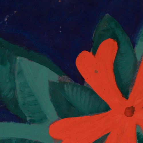 Fire Flowers (19265.13341)