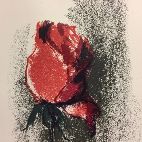 Punane roos (19289.15191)