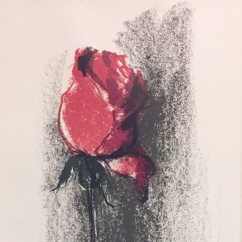 Silvia Leitu "Red Rose"