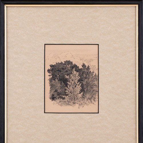 Üksik puu metsa taustal (19307.14911)
