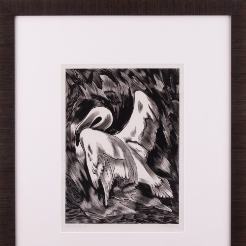 Swan (19339.14251)
