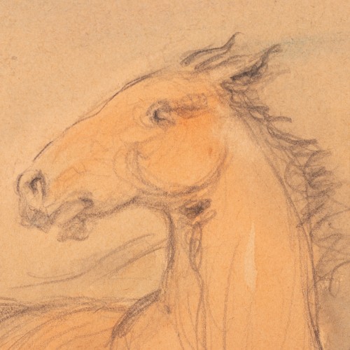 Horses (19795.16058)