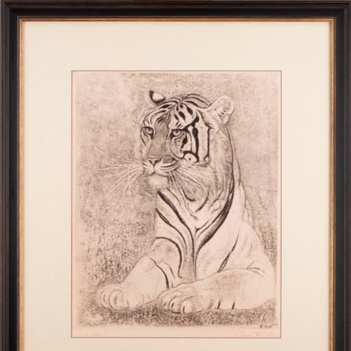 Tiger (20103.17002)
