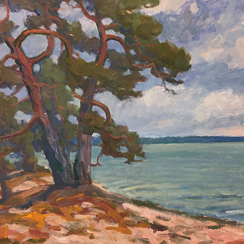 Pines by the Bay