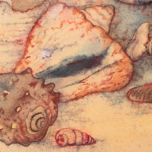 Natüürmort merikarpidega (20412.21203)