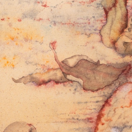 Natüürmort merikarpidega (20412.21204)