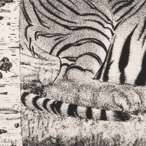 Lying Tiger (20539.21564)