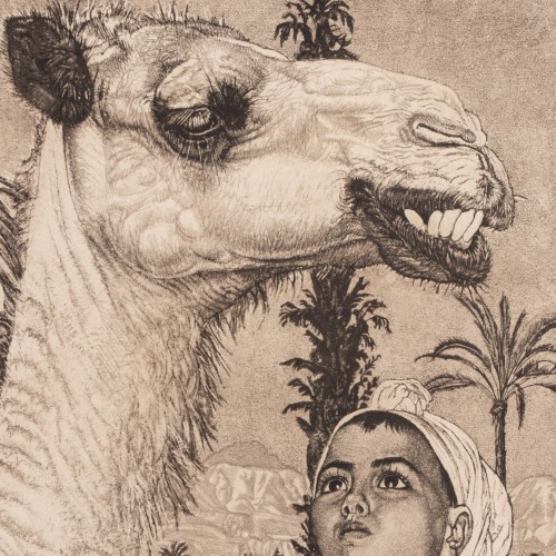 Berberi tüdruk kaameliga
