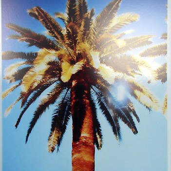Juan Kasari "Palm Trees 4 (everything must go)"