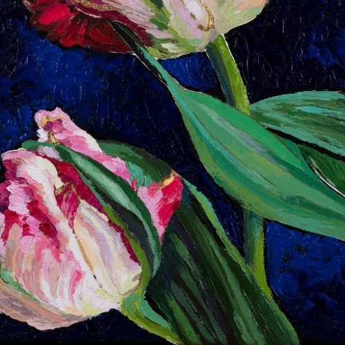 Tulips (17232.3964)
