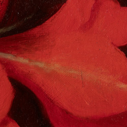 Punane amarüllis (18077.8626)