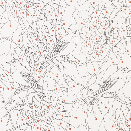 Birds (18671.11258)
