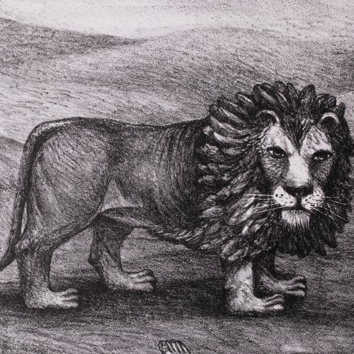 Lions (18702.11078)