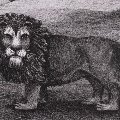 Lions (18702.11080)