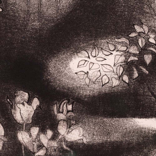Shadows in the Garden (18805.14119)