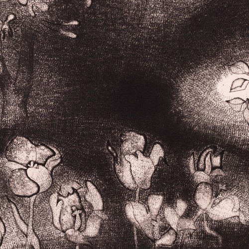Shadows in the Garden (18805.14120)