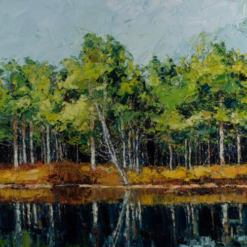 Pine trees.Lake Landscape