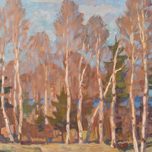 Spring Landscape With Birches (19170.12581)