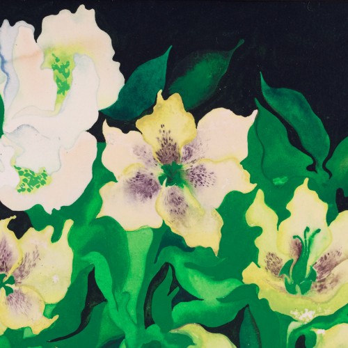 Spring Flowers (19295.14015)