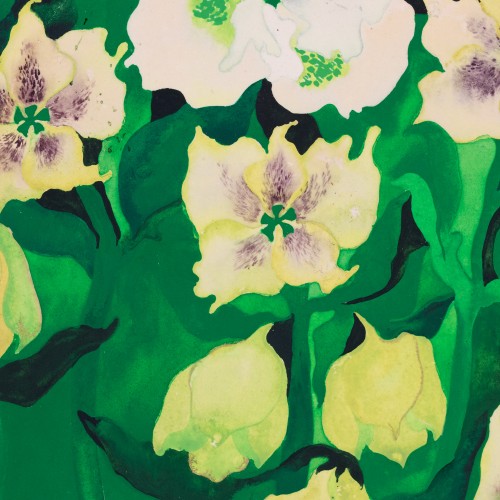 Spring Flowers (19295.14016)
