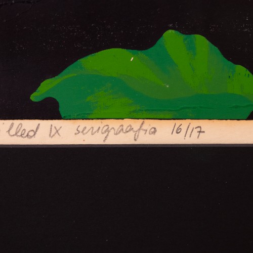 Lilled IX (19296.14660)