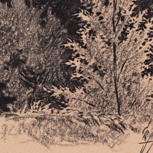 Üksik puu metsa taustal (19307.14913)