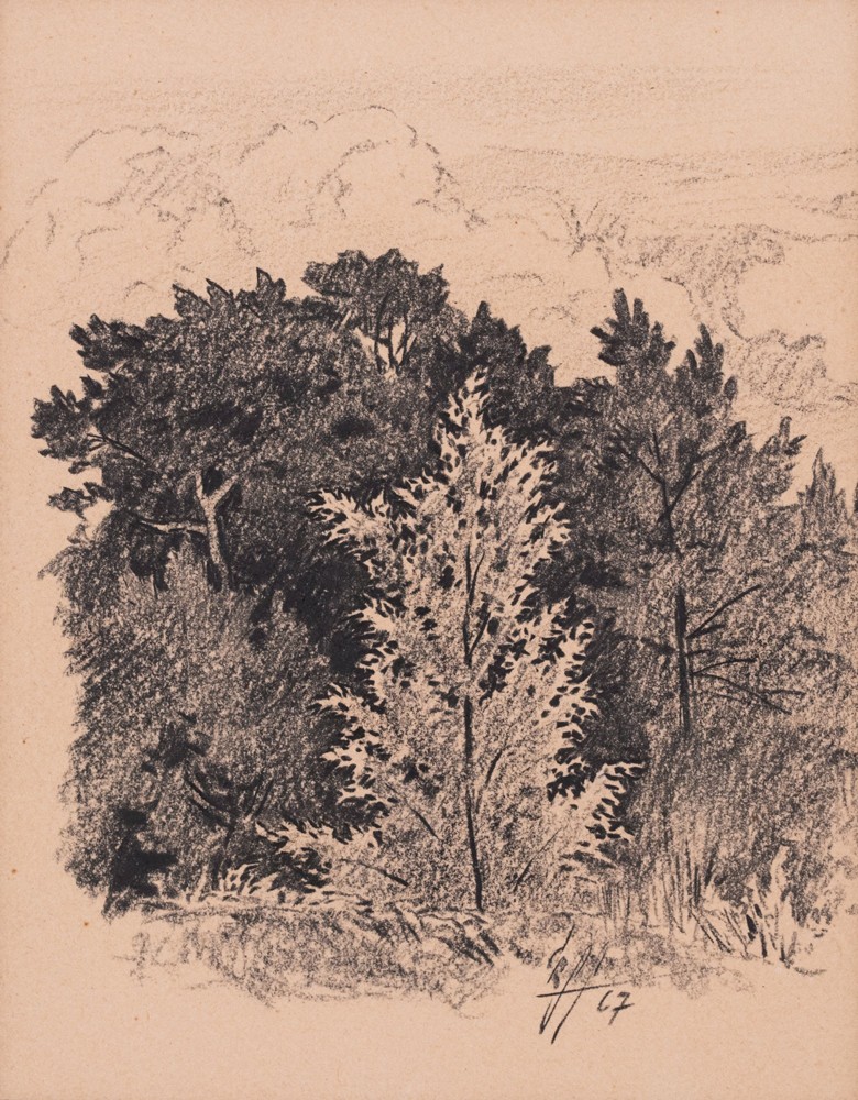 Günther Reindorff "Üksik puu metsa taustal"