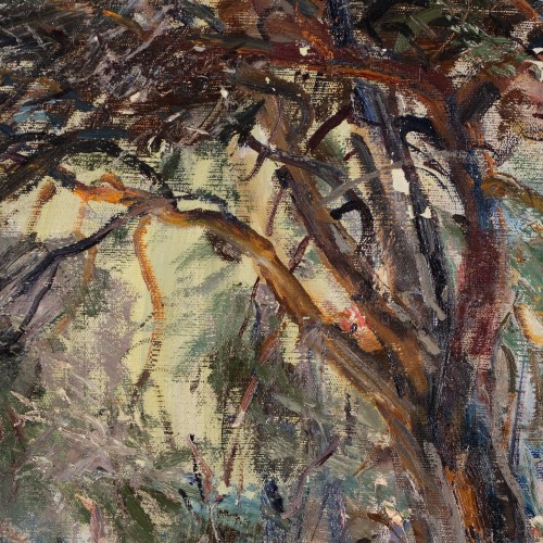 Forest Landscape (19318.12857)