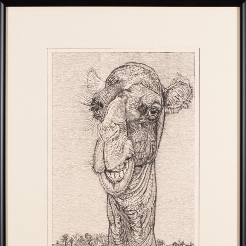 Camel's Head (20663.20136)