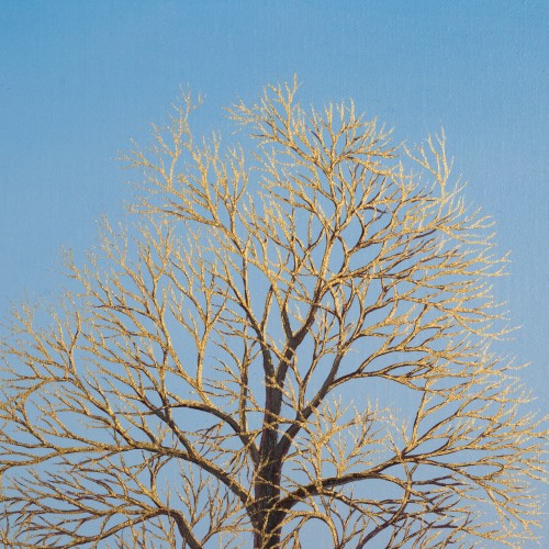 Kuldsete okstega puu (20743.19518)